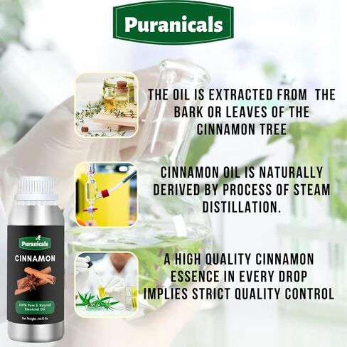 Cinnamon Essential Oil 16 Ounces by Puranicals | 100% Pure & Natural | Undiluted Premium Quality | Therapeutic Grade Aromatherapy Oil in Saudi Arabia