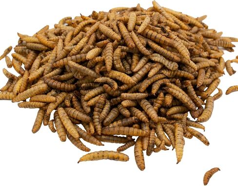 Dried Black Soldier Fly Larvae 9.88oz Dried Worms More Calcium Than Mealworms Chicken Feed Protein, Food for Lizard, Worm Snake Feed,Fish Worms, Ducks Feed, Geckos Feed in Saudi Arabia