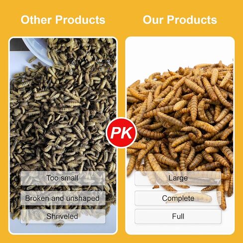 Dried Black Soldier Fly Larvae 9.88oz Dried Worms More Calcium Than Mealworms Chicken Feed Protein, Food for Lizard, Worm Snake Feed,Fish Worms, Ducks Feed, Geckos Feed in Saudi Arabia