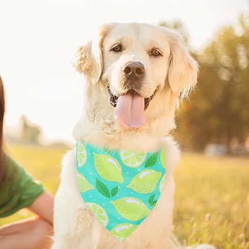 EXPAWLORER Christmas Dog Bandanas - 4 Pack Reversible Holiday Dog Bandanas Costume Boy and Girl, Soft Triangle Scarfs Bibs, Xmas Pet Bandanas Outfit Gift for Small Medium Large Puppy in Saudi Arabia