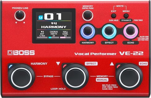 مؤثرات صوتية من Boss VE-22 ودواسة لوبير in Saudi Arabia