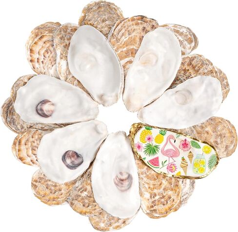 30Pcs Large Flat Oyster Shells for Crafts, 4-5 Inch Cleaned Natural Oyster Shells for Decoupage Painting Vase Filler Wedding DIY Decor Coastal Christmas Large Seashells Art in Saudi Arabia