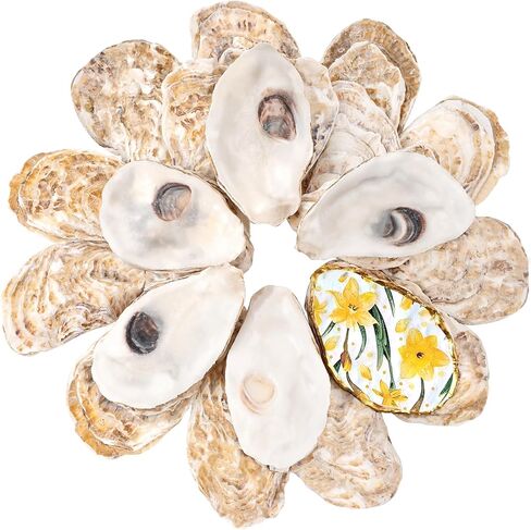 30Pcs Large Flat Oyster Shells for Crafts, 4-5 Inch Cleaned Natural Oyster Shells for Decoupage Painting Vase Filler Wedding DIY Decor Coastal Christmas Large Seashells Art in Saudi Arabia