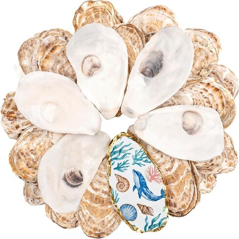 30Pcs Large Flat Oyster Shells for Crafts, 4-5 Inch Cleaned Natural Oyster Shells for Decoupage Painting Vase Filler Wedding DIY Decor Coastal Christmas Large Seashells Art in Saudi Arabia
