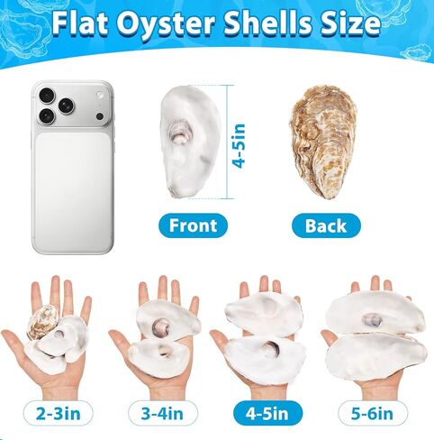 30Pcs Large Flat Oyster Shells for Crafts, 4-5 Inch Cleaned Natural Oyster Shells for Decoupage Painting Vase Filler Wedding DIY Decor Coastal Christmas Large Seashells Art in Saudi Arabia