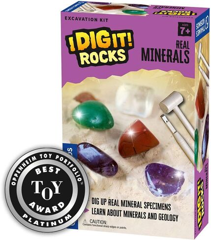 Thames & Kosmos 657550 I Dig It! Dinos 3D T. Rex Excavation | Science Kit | 3D Tyrannosaurus Rex Dinosaur Skeleton | Paleontology | Dinosaur Toy | Oppenheim Toy Portfolio Platinum Award Winner in Kuwait