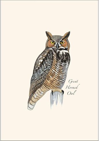 Earth Sky + Water - Great Horned Owl Notecard Set - 8 Blank Cards with Envelopes in Saudi Arabia