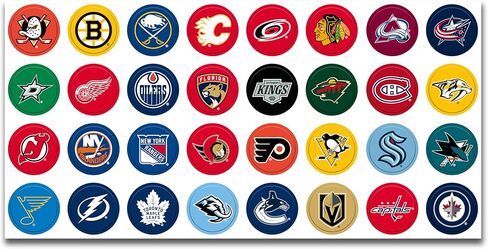 NHL Magnetic Standings Board – 32 Team Magnets, Interactive Hockey Season Tracker in Saudi Arabia