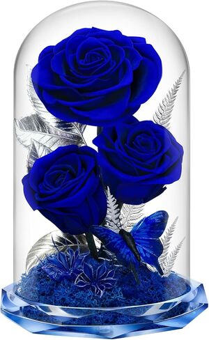 Forever Flowers in Glass Dome - Preserved Roses, for Her Women Valentine's Day, Mother's Day, Anniversary A-Grade Black Roses, Home Decor for Girlfriend, Wife, Sister, Mom (Black) in Saudi Arabia