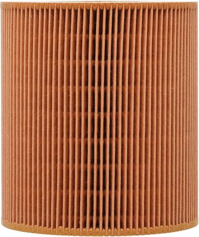 89295976 Air Filter, Compatible with Air Compressor, Replaces PA30015 AF26419 1613872000 6211472300 in Saudi Arabia