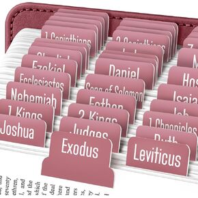 EssexWares - علامات تبويب الكتاب المقدس باللون الفيروزي للعهد القديم والجديد، 80 علامة تبويب طباعة كبيرة لدراسة الكتاب المقدس، علامات تبويب مؤشرة مقاومة للماء ومتينة للنساء والرجال - عرض 1.7 سم in Kuwait