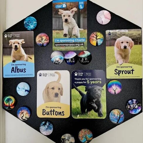 Hexagon Magnetic Display Board, Modern Metal Wall Art for Photos&Notes Rustic Fridge Magnet Holder Travel Memory Showcase Collect Decorations in Saudi Arabia