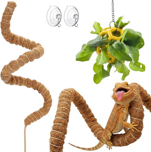 Bearded Dragon Climbing Accessories Toys for Tank, Bearded Dragon Veggie Feeder Ball and Bendable Vines Decor, Greens Training Kit for Reptile Lizard Gecko, Tank Accessories (Mini Climbing Salad Kit) in Saudi Arabia
