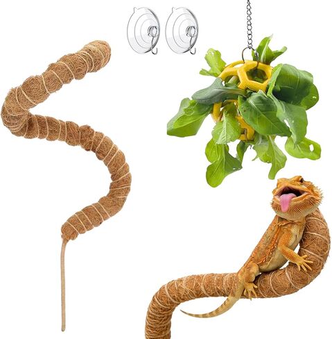 Bearded Dragon Climbing Accessories Toys for Tank, Bearded Dragon Veggie Feeder Ball and Bendable Vines Decor, Greens Training Kit for Reptile Lizard Gecko, Tank Accessories (Mini Climbing Salad Kit) in Saudi Arabia