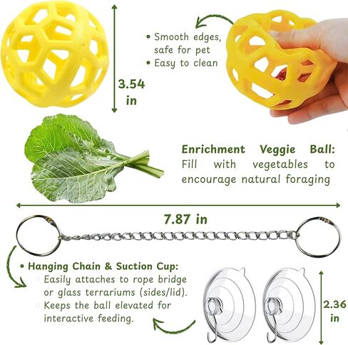 Bearded Dragon Climbing Accessories Toys for Tank, Bearded Dragon Veggie Feeder Ball and Bendable Vines Decor, Greens Training Kit for Reptile Lizard Gecko, Tank Accessories (Mini Climbing Salad Kit) in Saudi Arabia