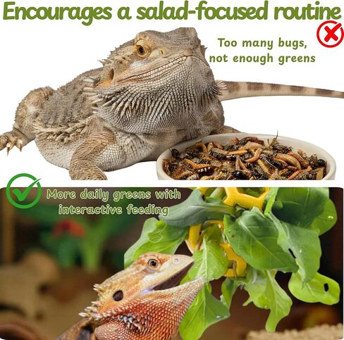 Bearded Dragon Climbing Accessories Toys for Tank, Bearded Dragon Veggie Feeder Ball and Bendable Vines Decor, Greens Training Kit for Reptile Lizard Gecko, Tank Accessories (Mini Climbing Salad Kit) in Saudi Arabia