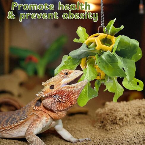 Bearded Dragon Climbing Accessories Toys for Tank, Bearded Dragon Veggie Feeder Ball and Bendable Vines Decor, Greens Training Kit for Reptile Lizard Gecko, Tank Accessories (Mini Climbing Salad Kit) in Saudi Arabia