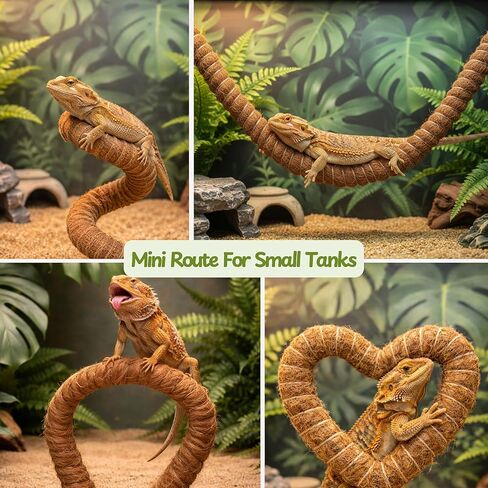 Bearded Dragon Climbing Accessories Toys for Tank, Bearded Dragon Veggie Feeder Ball and Bendable Vines Decor, Greens Training Kit for Reptile Lizard Gecko, Tank Accessories (Mini Climbing Salad Kit) in Saudi Arabia