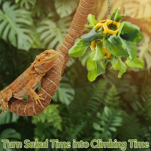 Bearded Dragon Climbing Accessories Toys for Tank, Bearded Dragon Veggie Feeder Ball and Bendable Vines Decor, Greens Training Kit for Reptile Lizard Gecko, Tank Accessories (Mini Climbing Salad Kit) in Saudi Arabia