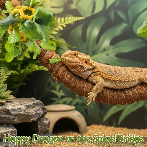 Bearded Dragon Climbing Accessories Toys for Tank, Bearded Dragon Veggie Feeder Ball and Bendable Vines Decor, Greens Training Kit for Reptile Lizard Gecko, Tank Accessories (Mini Climbing Salad Kit) in Saudi Arabia