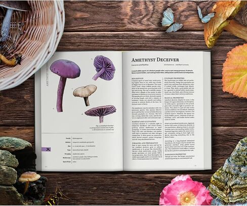Renegade Games: Mycologist’s Primer - A System Agnostic for Any RPG System, Full-Color Hardcover Book, Mycology-Legends-Folklore, Tabletop Roleplaying in Kuwait