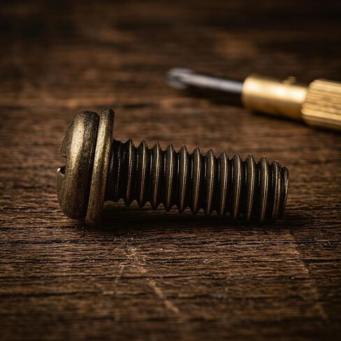 20 Pack Ceiling Fan Blade Screws, 1/4"-20 x 3/8" Phillips Pan Head Carbon Steel Replacement Screws for Lighted Ceiling Fan Blade Arms and Motor Hardware, Brass Tone in Saudi Arabia