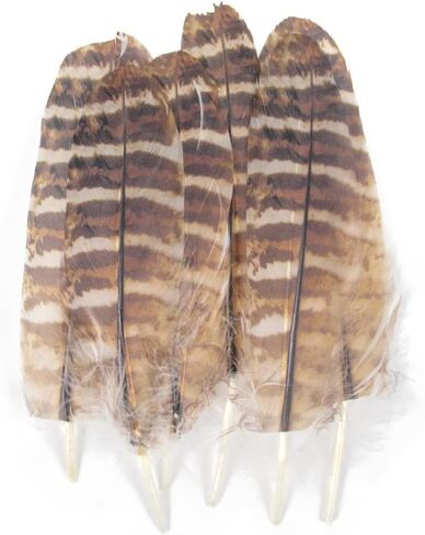 WENCELYL Natural Tiger Pattern Goose Feathers Bulk, 6-8 Inch Real Goose Feathers for DIY Crafts Wedding Party Halloween Home Decoration, Craft Feathers for Centerpieces Dream Catcher (style2) in Saudi Arabia