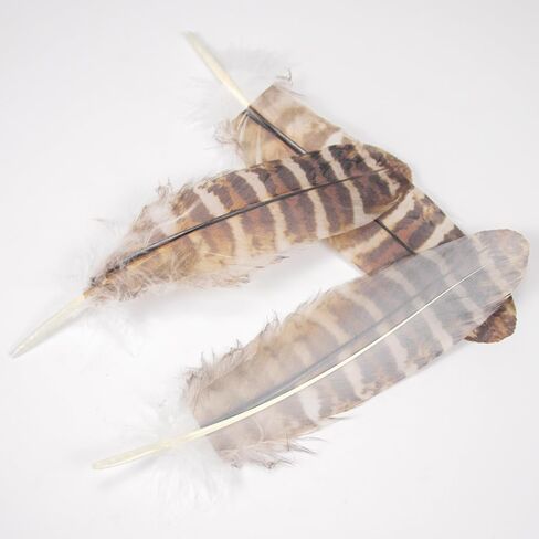 WENCELYL Natural Tiger Pattern Goose Feathers Bulk, 6-8 Inch Real Goose Feathers for DIY Crafts Wedding Party Halloween Home Decoration, Craft Feathers for Centerpieces Dream Catcher (style2) in Saudi Arabia