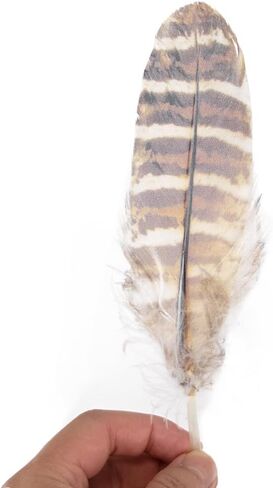 WENCELYL Natural Tiger Pattern Goose Feathers Bulk, 6-8 Inch Real Goose Feathers for DIY Crafts Wedding Party Halloween Home Decoration, Craft Feathers for Centerpieces Dream Catcher (style2) in Saudi Arabia