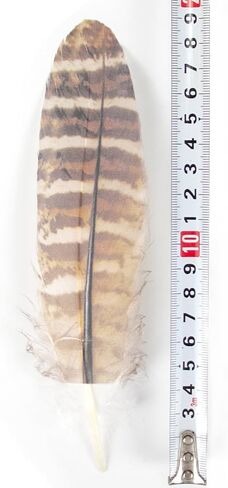WENCELYL Natural Tiger Pattern Goose Feathers Bulk, 6-8 Inch Real Goose Feathers for DIY Crafts Wedding Party Halloween Home Decoration, Craft Feathers for Centerpieces Dream Catcher (style2) in Saudi Arabia