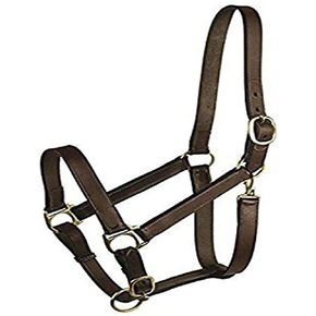 GATSBY Leather Company 283460 Leather Halter Havanna Brown, Weanling