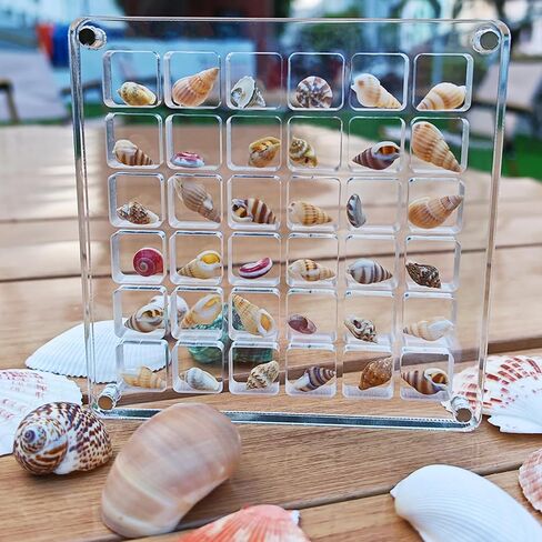 Acrylic Seashell Display Box, 36 Square Grids, Small Craft Organizers, Perfect for Storing and Showcasing Shells, Starfish, Beads, and Decorative Charms in Saudi Arabia