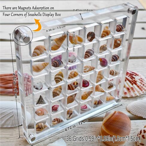 Acrylic Seashell Display Box, 36 Square Grids, Small Craft Organizers, Perfect for Storing and Showcasing Shells, Starfish, Beads, and Decorative Charms in Saudi Arabia