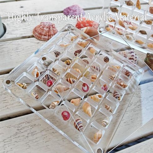 Acrylic Seashell Display Box, 36 Square Grids, Small Craft Organizers, Perfect for Storing and Showcasing Shells, Starfish, Beads, and Decorative Charms in Saudi Arabia