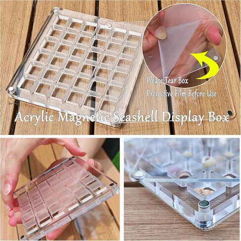 Acrylic Seashell Display Box, 36 Square Grids, Small Craft Organizers, Perfect for Storing and Showcasing Shells, Starfish, Beads, and Decorative Charms in Saudi Arabia
