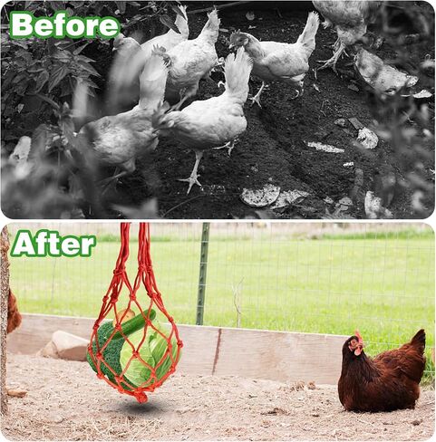 4Pcs Vegetable Hanging Feeder, Hanging Chicken Feeder, Vegetable Fruit String Bag Poultry Feeder, Chicken Toys for Coop Chick Duck Bird Feeders for Outdoor Hanging, Chicken Supplies(2 Red, 2 Black) in Saudi Arabia