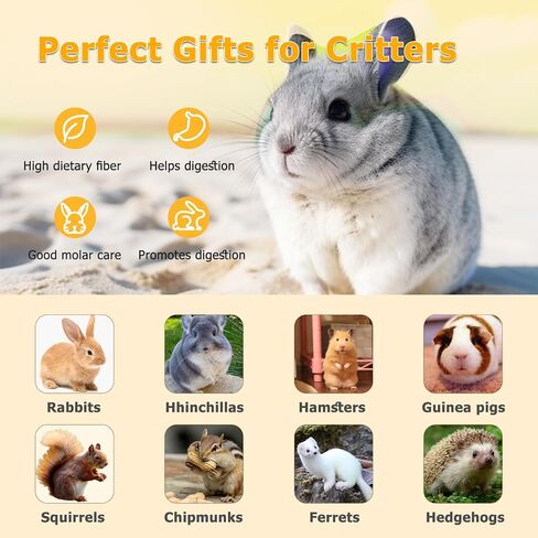 24PCS Rabbit Toys, Cute Bunny Toys for Rabbits, Rich and Interesting Guinea Pig Toys, Hamster Toys and Chinchilla Toys in Saudi Arabia