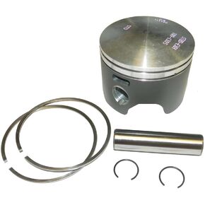 RAREELECTRICAL Piston Kit Standard Size Starboard Side Compatible With 1985-2001 Johnson Evinrude 150Hp-235Hp V6 Loop Charge 2-Stroke Outboard 3.600 Bore 0434504 434504 0436243 436243 in Kuwait