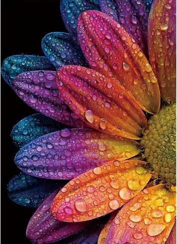 Rainbow Daisy with Water Drops Diamond Painting Kits for Adults, Colorful Macro Flowers Dewdrop 5D Full Round Drill DIY Diamond Art Kits for Beginners, Gem Art and Crafts Home Wall Decor 12x16 Inch in Saudi Arabia