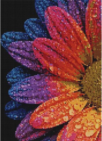 Rainbow Daisy with Water Drops Diamond Painting Kits for Adults, Colorful Macro Flowers Dewdrop 5D Full Round Drill DIY Diamond Art Kits for Beginners, Gem Art and Crafts Home Wall Decor 12x16 Inch in Saudi Arabia