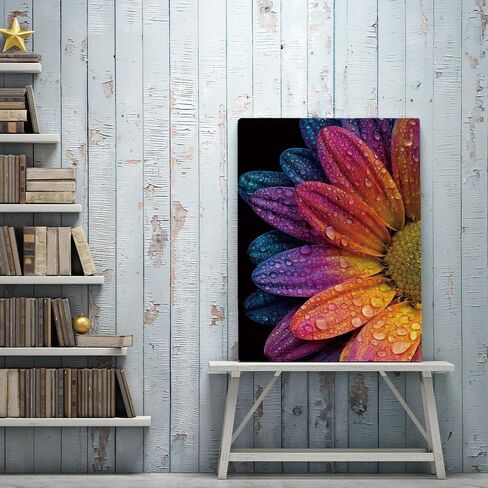Rainbow Daisy with Water Drops Diamond Painting Kits for Adults, Colorful Macro Flowers Dewdrop 5D Full Round Drill DIY Diamond Art Kits for Beginners, Gem Art and Crafts Home Wall Decor 12x16 Inch in Saudi Arabia