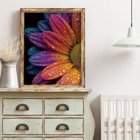 Rainbow Daisy with Water Drops Diamond Painting Kits for Adults, Colorful Macro Flowers Dewdrop 5D Full Round Drill DIY Diamond Art Kits for Beginners, Gem Art and Crafts Home Wall Decor 12x16 Inch in Saudi Arabia