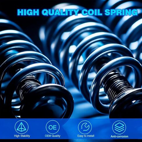 Rear Heavy Duty Coil Springs 2 Pack, Compatible with Kia Sedona 2006-2012 2014 & Hyundai Entourage 2007-2008, Replacement for OE 55350-4D201-DS 553504D201DS in Saudi Arabia