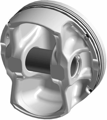 Polaris RZR Piston Kit, 99 mm, Genuine OEM Part 2204960, Qty 1 in Kuwait