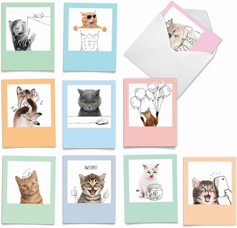 The Best Card Company - 10 All Occasion Blank Cat Cards (4 x 5.12 Inch) - Cute Assorted Bulk Card Set - Cat A Big Hug M6614OCB in Kuwait