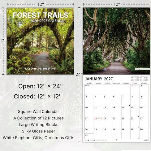 2026-2027 Wall Calendar, 2026-2027 Pathways Calendar, 18 Months from Jul 2026 - Dec 2027, 12" x 24" Open, Thick Paper, Hanging Holes, Large Blocks, Holidays, Gifts for Planning Organizing in Kuwait