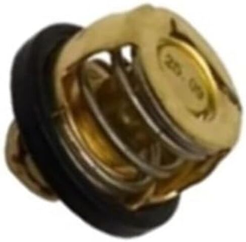 Motorcycle Thermostat Water Temperature Fit For QJ Motor Keeway For Benelli 150s 180s RKF RFS 150 180 BJ150-31 BN150S(Thermastat) in Kuwait