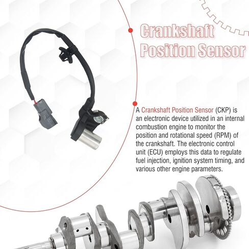9008019011 Crankshaft Position Sensor Compatible with Camry 1994-2001 Celica 1994-1999 Solara 1999-2001 2.2L L4 RAV4 1996-2000 2.0L L4 in Kuwait