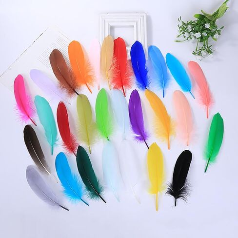 GSHLLO 100 Pcs Natural Colorful Goose Feathers Dream Catcher Making Feather Cosplay Decorative Feather DIY Crafts Feathers Clothing Hats Accessories Black in Kuwait