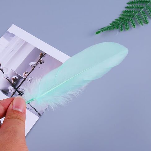 GSHLLO 100 Pcs Natural Colorful Goose Feathers Dream Catcher Making Feather Cosplay Decorative Feather DIY Crafts Feathers Clothing Hats Accessories Black in Kuwait